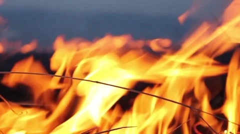 A fire in a forest glade. Burning grass. Video stock 58874520