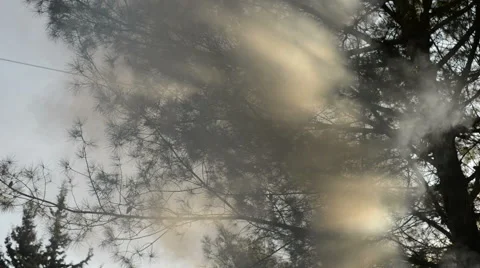Fire in forest making lot of smoke and fog playing with rays of sun Stock Footage 45295454