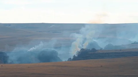 A fire in the forest in nature Stock Footage 125329361