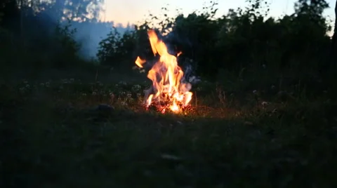 The fire in the forest at night Stock Footage 52118883