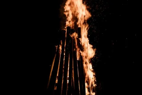 Fire in the forest at night. Stock Photos
