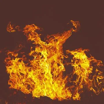 Fire in the forest at night Stock Photos