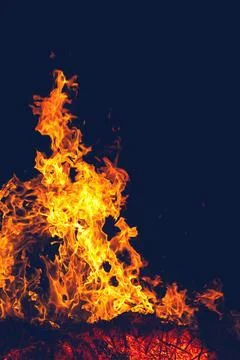 Fire in the forest at night Stock Photos