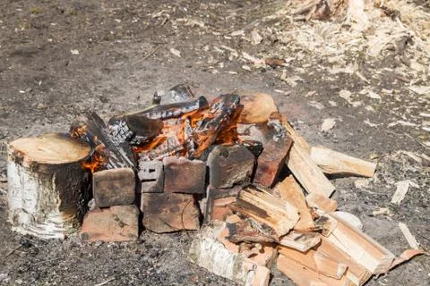 A fire in the forest Foto stock
