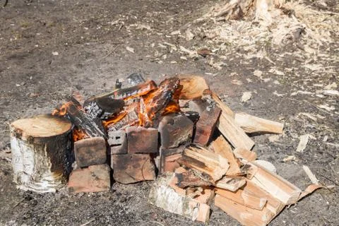 A fire in the forest Foto stock
