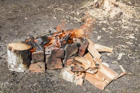 A fire in the forest Foto stock