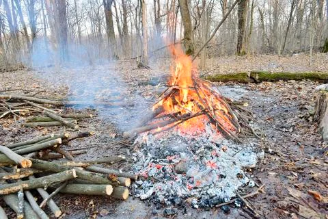 A fire in a forest in spring Foto stock