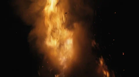 Fire in the forest. Strong flame with smoke. Stock Footage 68201616