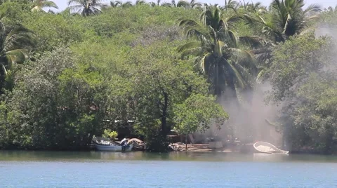 Fire in forest tropical burning trash. Human stupidity. Ecological disaster Stock Footage 50225375