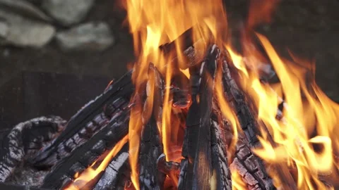 Fire in Forrest Stock Footage 134728298