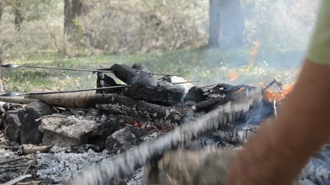 On a fire fry eggplants Stock Footage 119887084