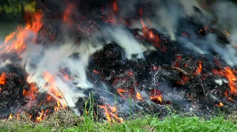 Fire in the garden Stockbeeldmateriaal 452051