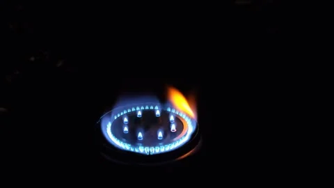 Fire from a gas burner Stock Footage 318281133