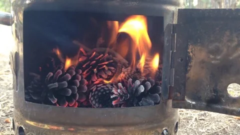 Fire gets going 2 Stock Footage 83188556