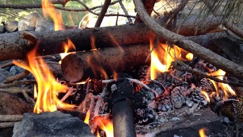 Fire gets going Stock Footage 83188472