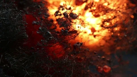 Fire Glows Behind Dark Material MAC Stock Footage 74545895