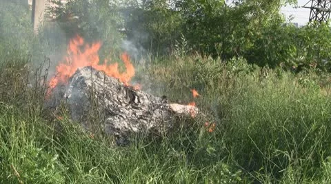 Fire in grass Stock Footage 10734746