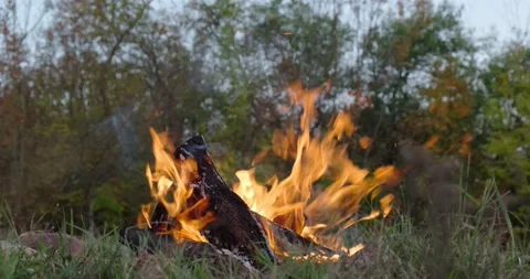 Fire in the grass Stock Footage 141096058