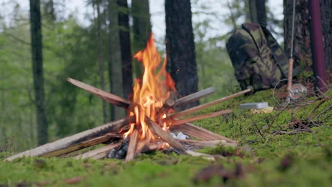 Fire in the grass Slow motion Campfire in the damp forest. Stock Footage 141246028