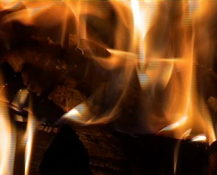 Fire in the grate Stock Footage