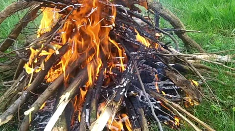 Fire on, green grass Video stock 41104109