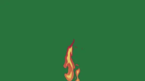A fire on green screen and burning animated chromakey background gesture scene Vídeos de archivo 335682690