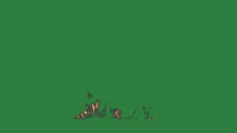 A fire on green screen and burns is burning with in the middle it style motion Stock Footage 335148970