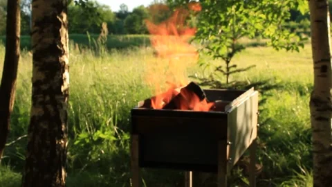 Fire in the Grill on a Background of Nature in Summer Stock Footage 137630782