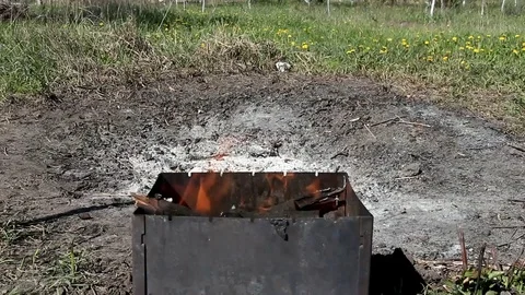 Fire from the grill on the background of trees Stock Footage 89668215