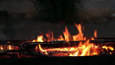 Fire in the grill close up Video stock 279803174