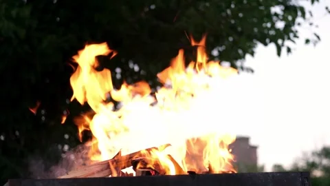 Fire in the grill close up Video stock 286971054