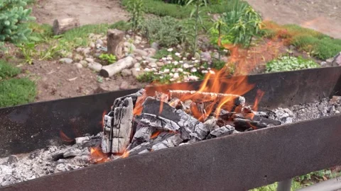 Fire up the grill Stock Footage 196158826