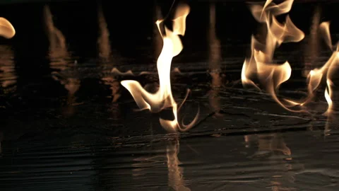 Fire on grill Stock Footage 219464031