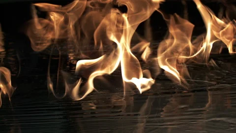 Fire On Grill Stock Footage 219464083