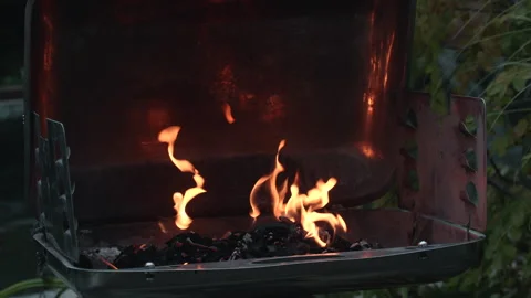 Fire on a grill. Stock Footage 276227745
