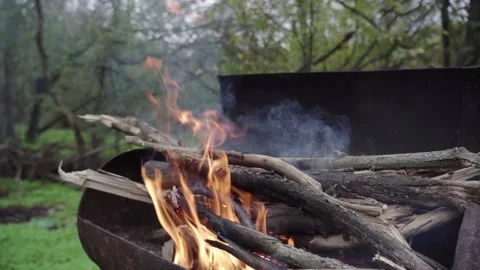 Fire in the grill. Picnic in the forest Stock Footage 172576740