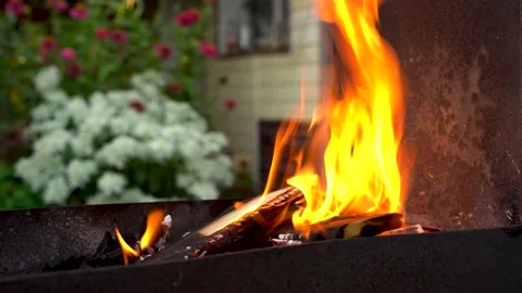 Fire in the grill. Preparation of coals for barbecue in nature Stock Footage 158602818