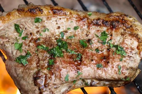 Fire grilled meat Stock Photos
