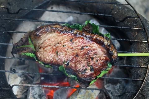 Fire grilled meat Foto stock