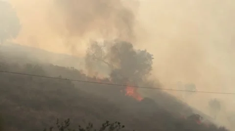 Fire with helicopter Stock Footage 49560296