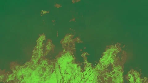 Fire high quality animated green screen , I'm a Good Photographer, I have T.. Video stock 288298422