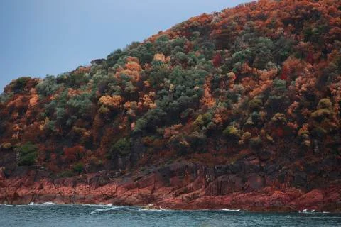 Fire on a hill Stock Photos