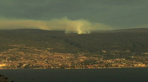 Fire on Hillside Stock Footage 711243