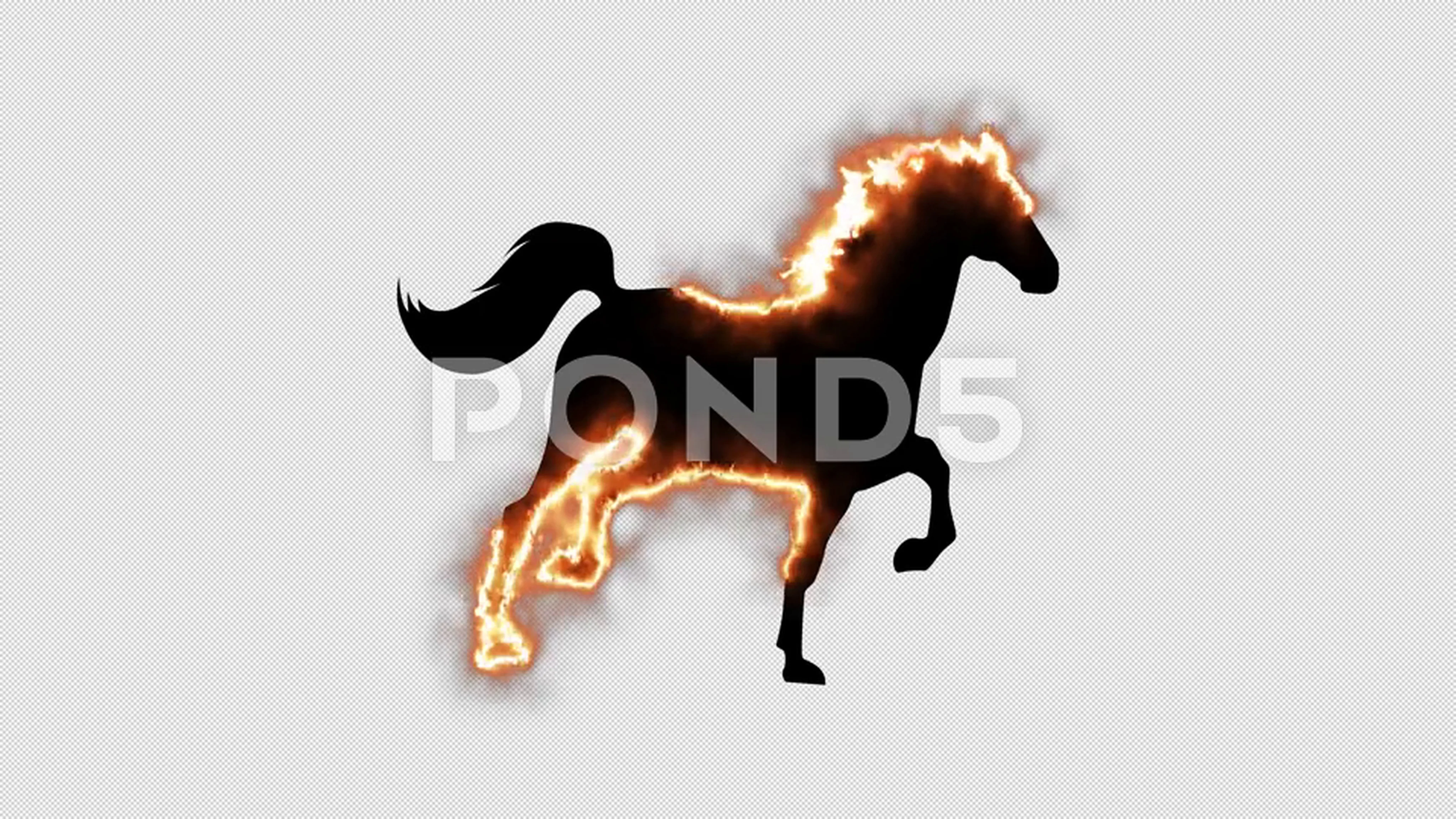 Fire horse animated in PNG format with A... | Stock Video | Pond5