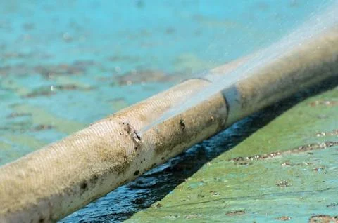 Fire hose Stock Photos