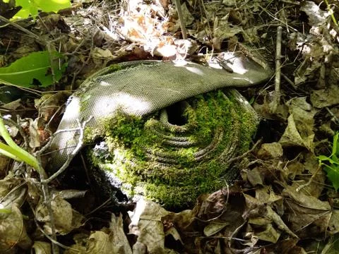 Fire Hose Foto stock