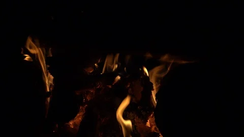 Fire on hot coals at night. 4K ultra hd video footage Video stock 97782212