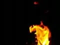 Fire HS 09 Slow Motion 7x Loop Web Footage