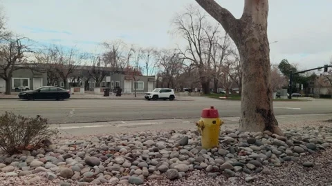 Fire Hydrant And Tree Along Quiet Urban Street Vidéo 327327986