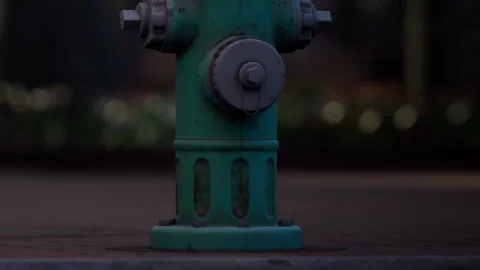 Fire hydrant in city park at dusk Stock Footage 340982063